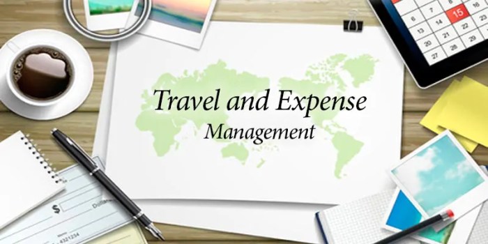 Expense demo